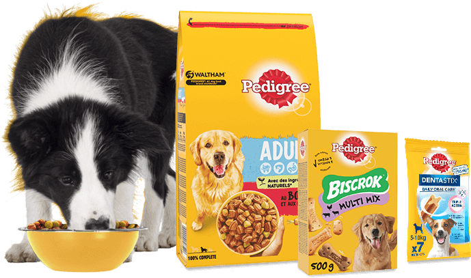 Pedigree All Products