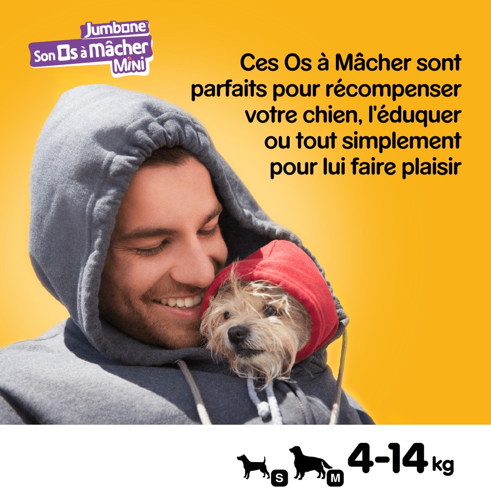 Pedigree® JUMBONE™ Son Os À Macher Récompenses Pour Petit Chien 4 x 40g