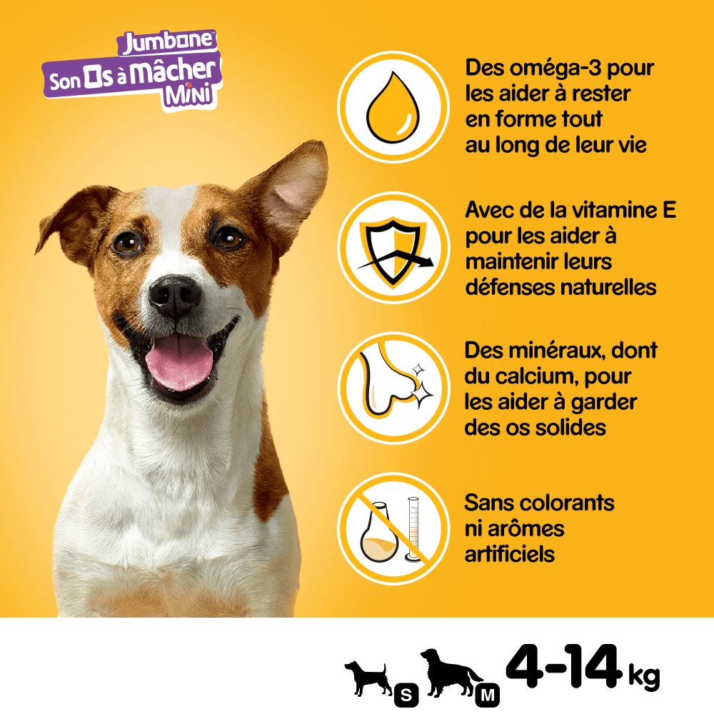 Pedigree® JUMBONE™ Son Os À Macher Récompenses Pour Petit Chien 4 x 40g