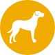 Dog Large Hover Icon