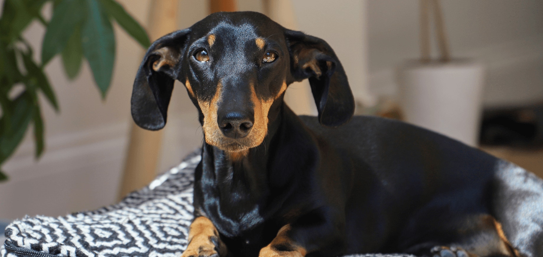 Sécurisez votre maison