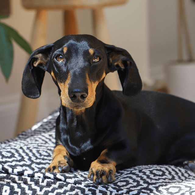 Sécurisez votre maison