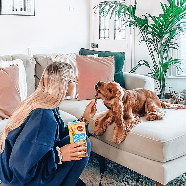 L’éducation positive de votre chien : utilisez des récompenses !