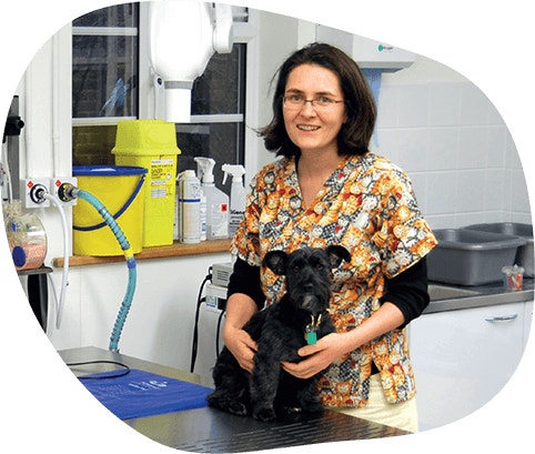 Les particularités des dents du chien, expliquées par la dentiste vétérinaire Lisa Milella