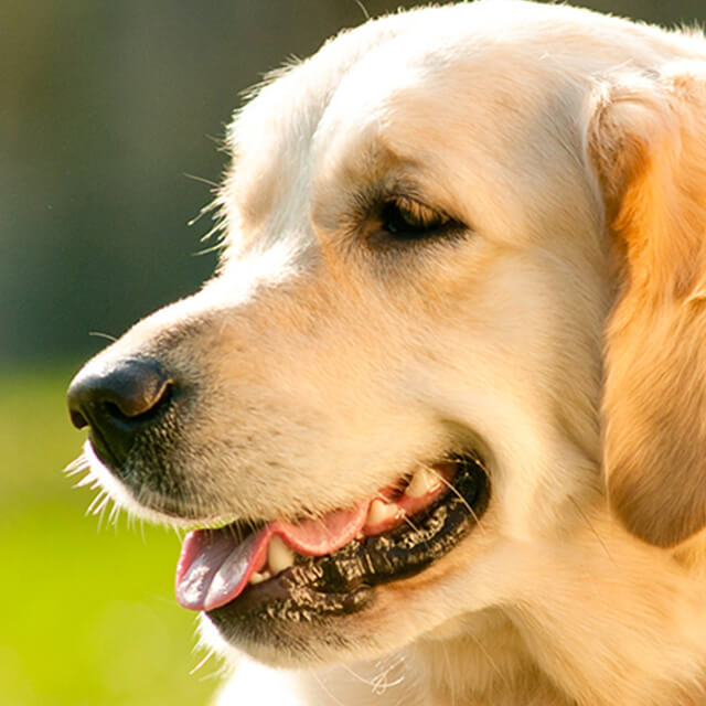 Arrivée d’un enfant