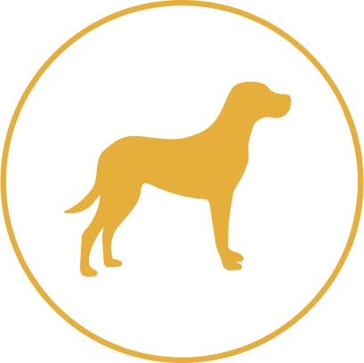 Pedigree Grand chien