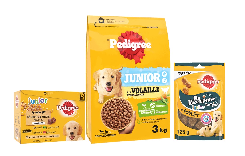 puppy product images