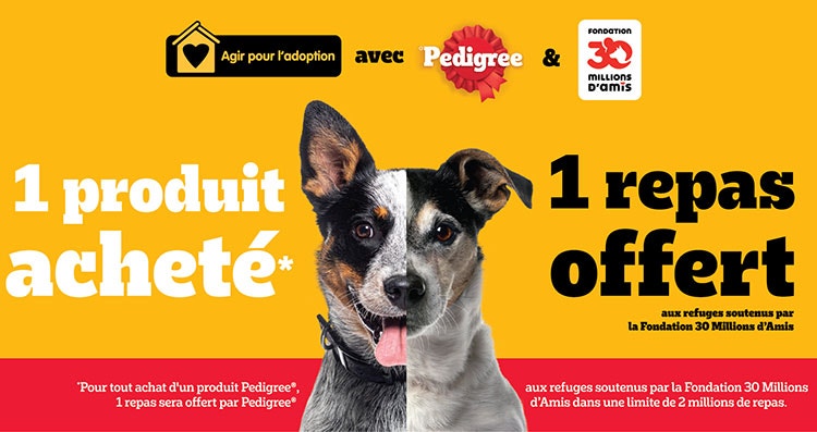 Agir pour l’adoption en 5 chiffres