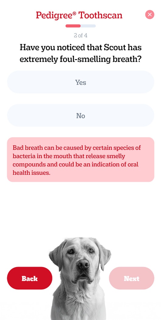 Pedigree Répondez aux questions