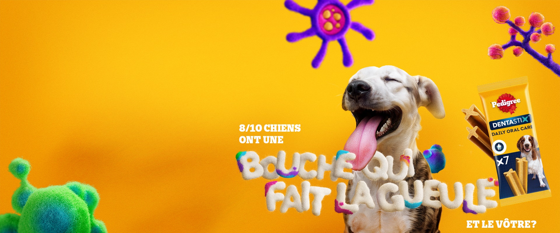 8/10 chiens ont une bouche qui fait la gueule