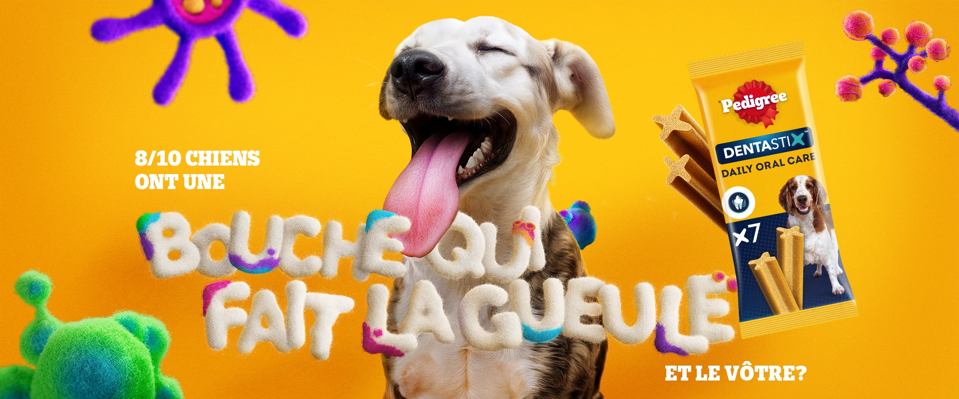 8/10 chiens ont une bouche qui fait la gueule