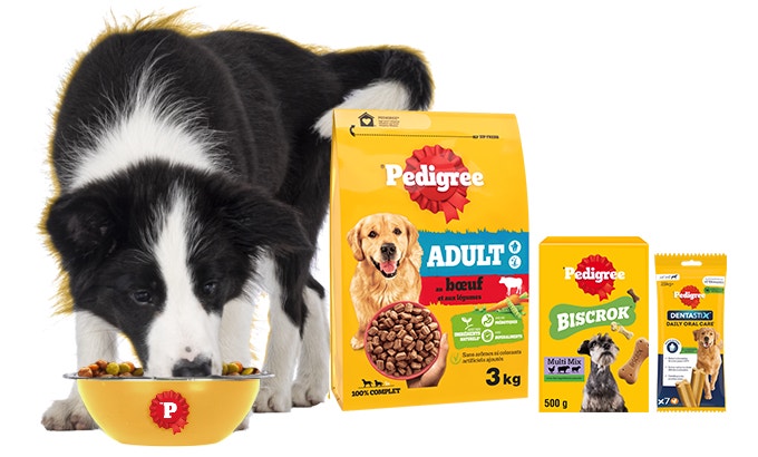 Pedigree All Products