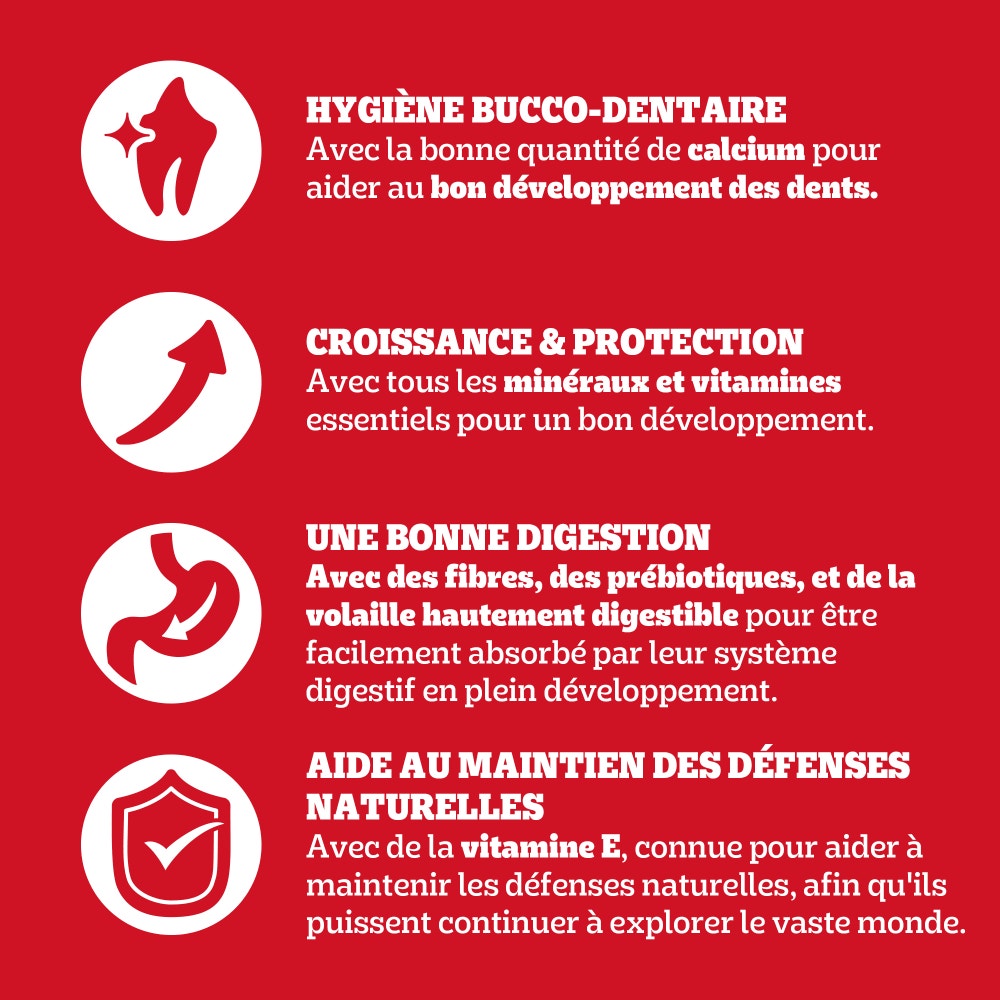 Pedigree® Croquettes À la Volaille et Aux Légumes Pour Chien Junior 3kg, 7kg