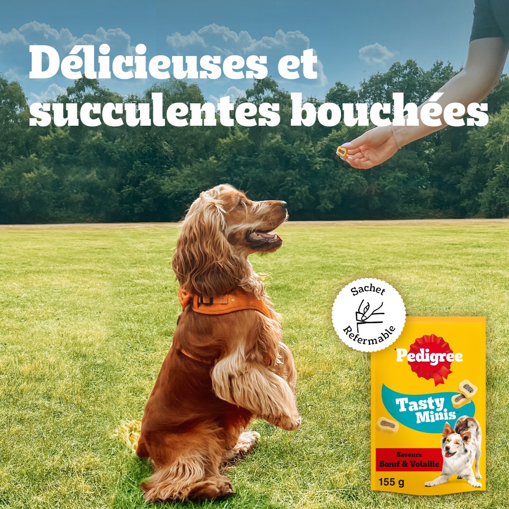 Pedigree® TASTY MINIS™ Bouchées Fourrées Au Bœuf Pour Chien 155g