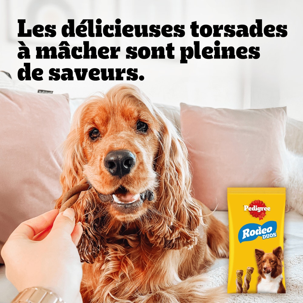 Pedigree® RODEO™ DUOS Récompenses Au Bœuf Et Fromage Pour Chien x7