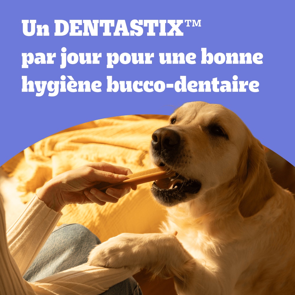 Pedigree® DENTASTIX™ Bâtonnets Hygiène Bucco-Dentaire Pour Petit Chien x7, x28 & x56