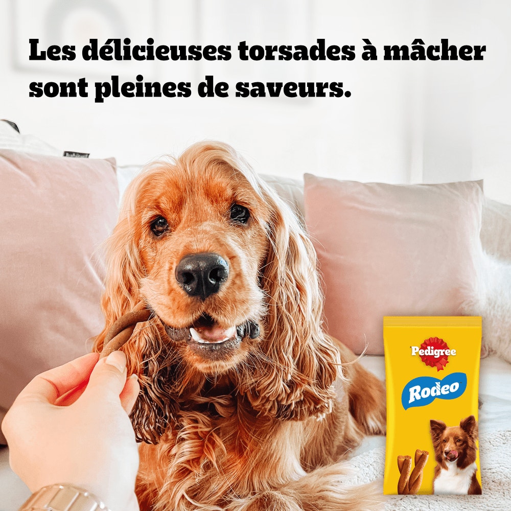 Pedigree® RODEO™ Récompenses Au Bœuf Pour Chien x4