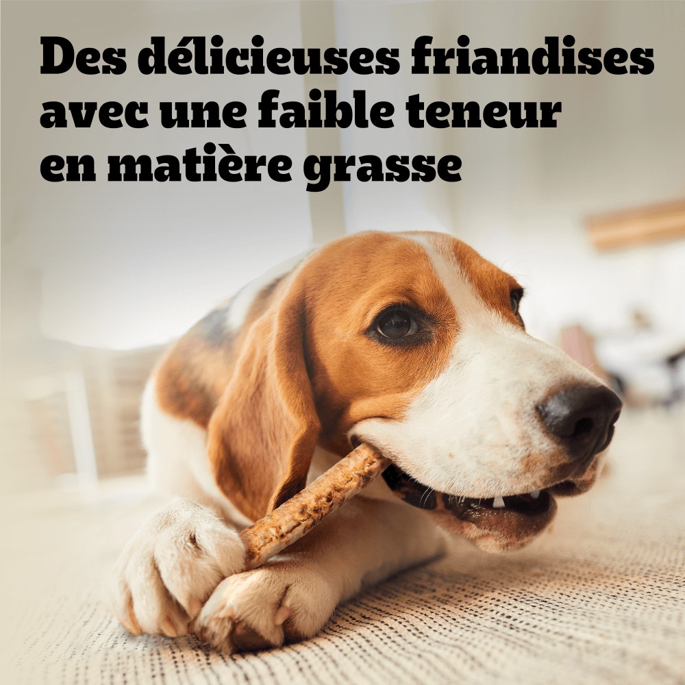 PEDIGREE® RANCHOS™ Lastin Layers Bâtonnets Au Poulet Récompenses Pour Chien Adulte 8x60g
