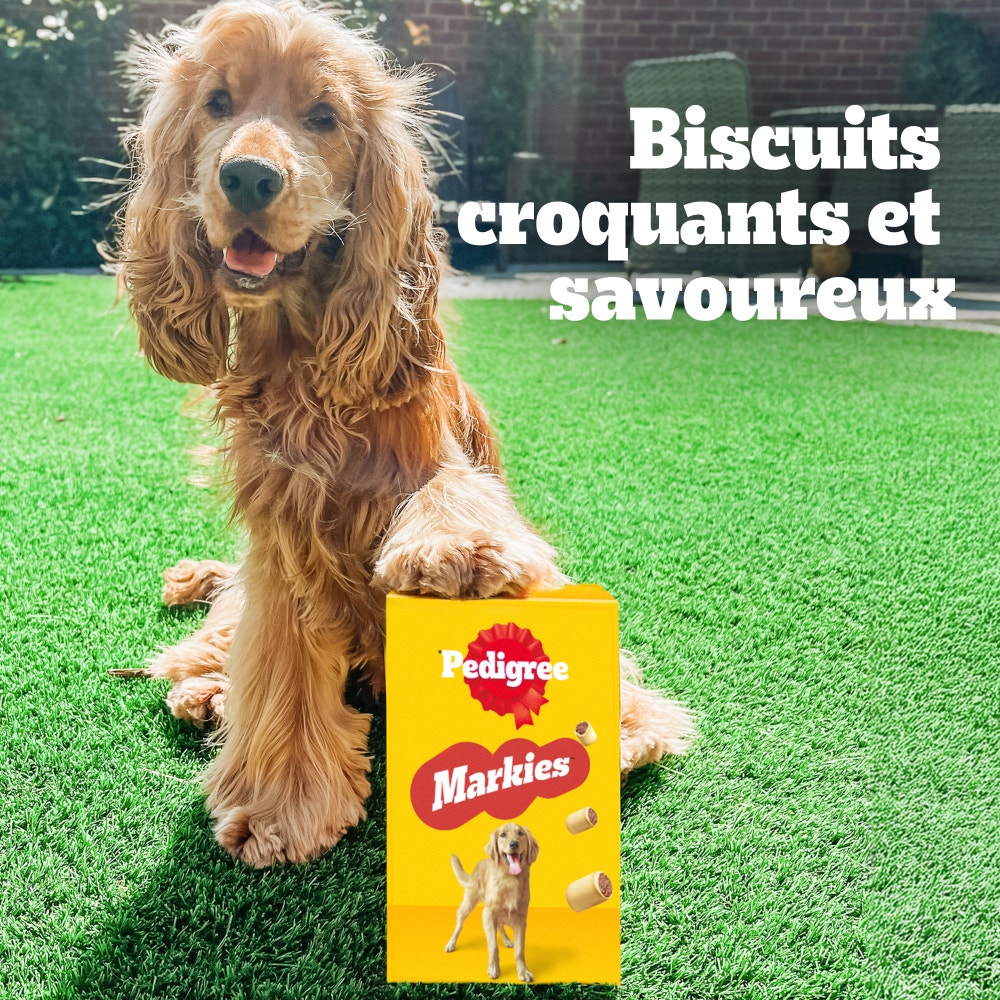 Pedigree® MARKIES™ Biscuits Fourrés Pour Chien 500g