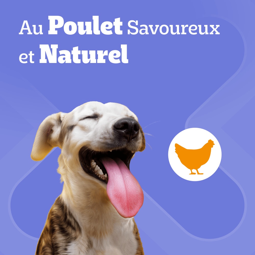 Pedigree® DENTASTIX™ Bâtonnets Hygiène Bucco-Dentaire Pour Petit Chien x7, x28 & x56