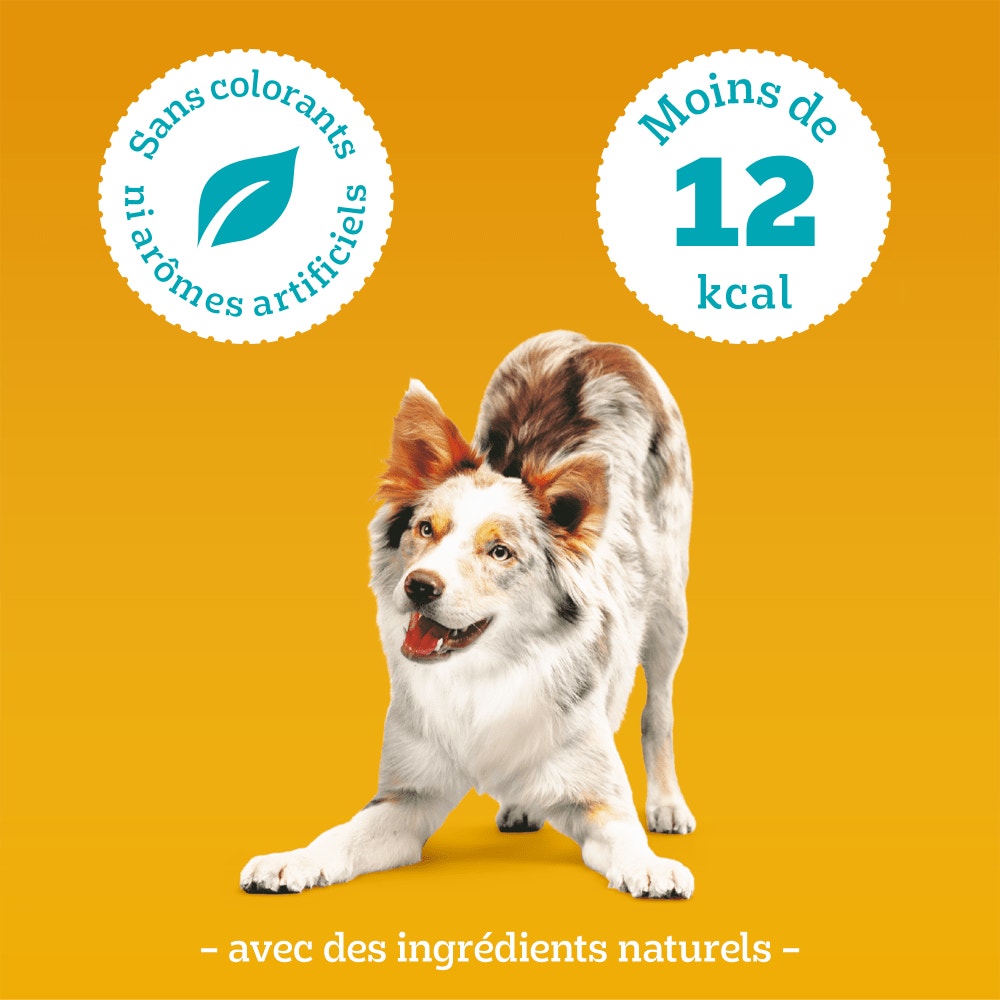 Pedigree® TASTY MINIS™ Bouchées Moelleuses Au Poulet Pour Chien 130g