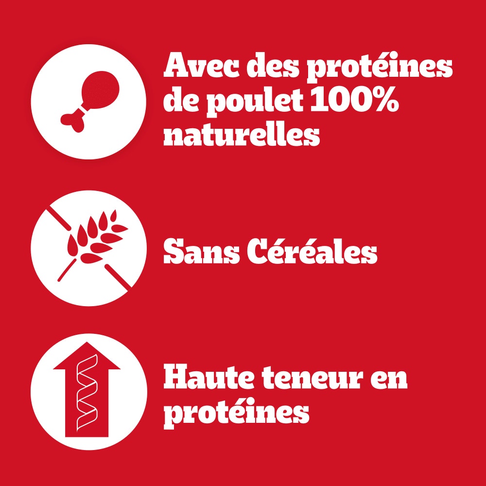 PEDIGREE® RANCHOS™ Twist Bâtonnets Au Canard et À la Dinde Récompenses Pour Chien Adulte 8x60g