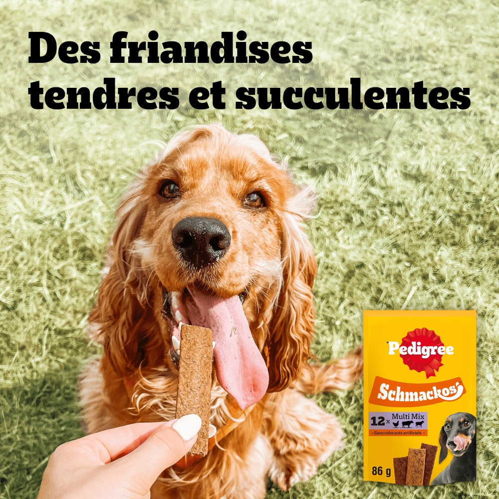 Pedigree® SCHMACKOS™ Récompenses Multi Pour Chien 20 x 7,2g