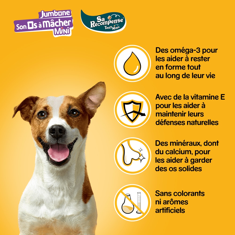 Pedigree® Mega Box Récompenses Tasty Mini Et JUMBONE™ Mini Pour Chien 740g