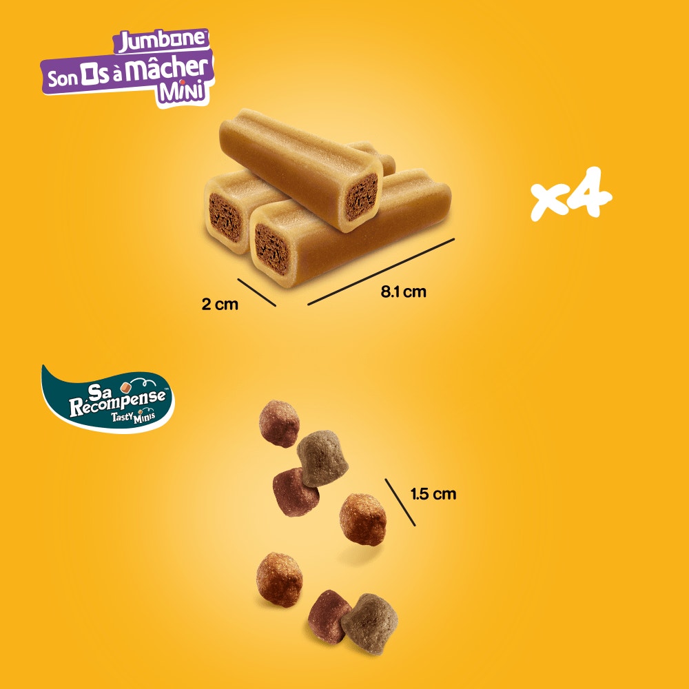 Pedigree® Mega Box Récompenses Tasty Mini Et JUMBONE™ Mini Pour Chien 740g