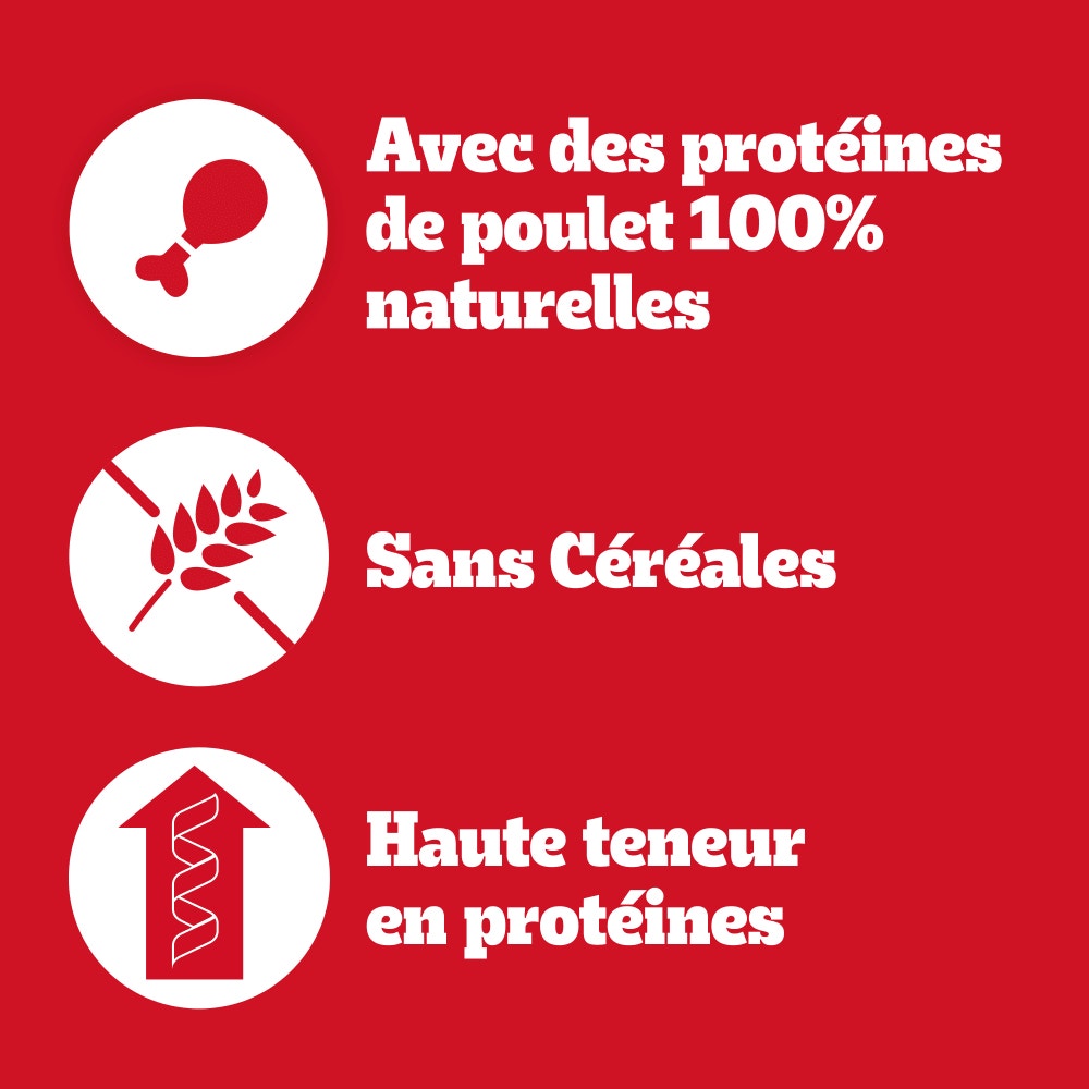 PEDIGREE® RANCHOS™ Wrap Bâtonnets Au Poulet, Au Canard et À la Dinde Récompenses Pour Chien Adulte 8x60g