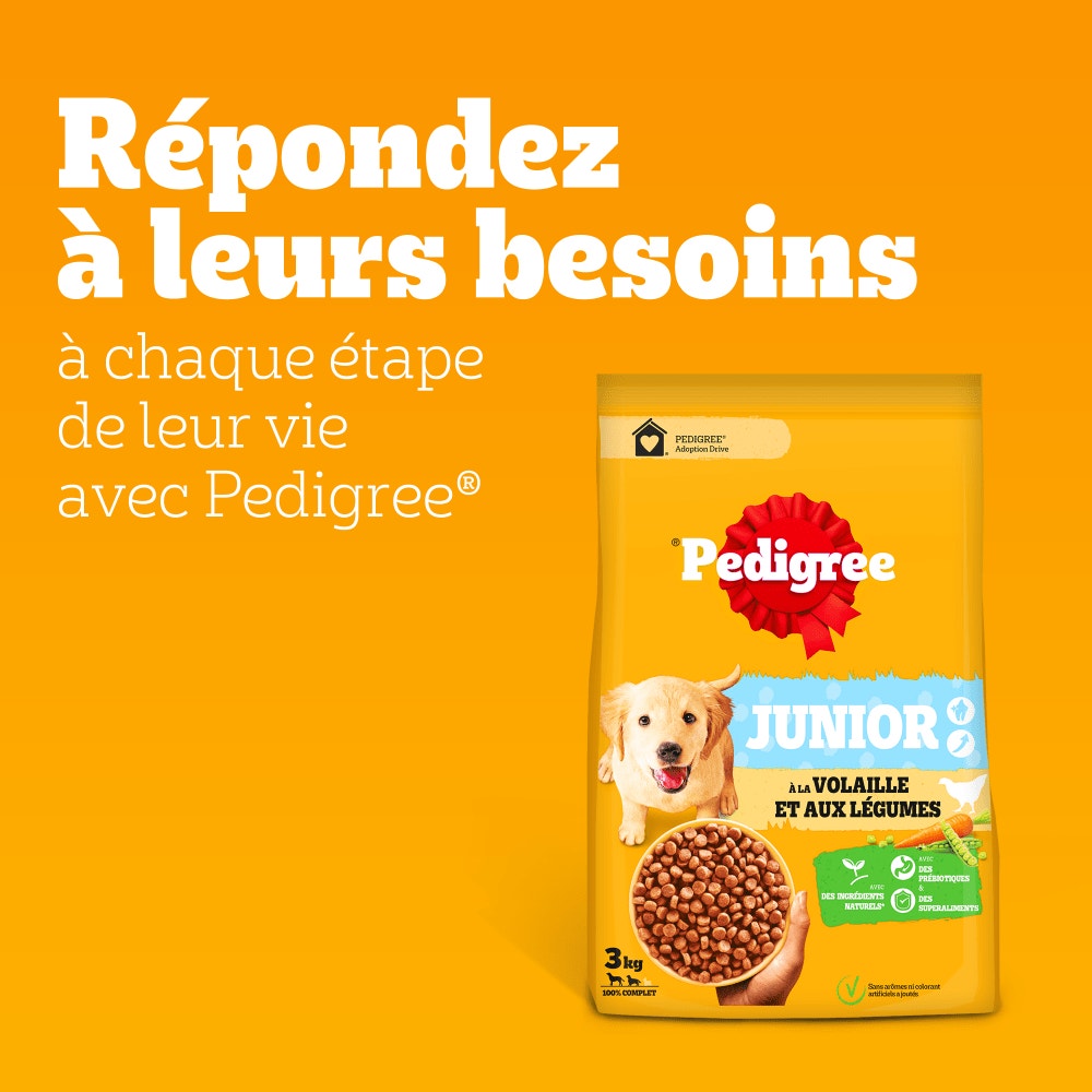 Pedigree® Croquettes À la Volaille et Aux Légumes Pour Chien Junior 3kg, 7kg