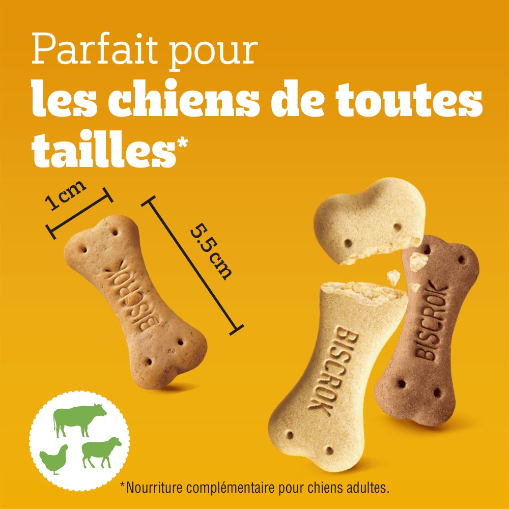 Pedigree® BISCROK™ Biscuits 3 Variétés Pour Chien 500g