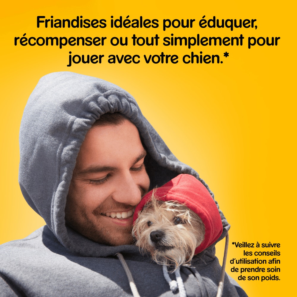 Pedigree® GOOD CHEW™ Au Bœuf Pour Chiens Moyens 88g