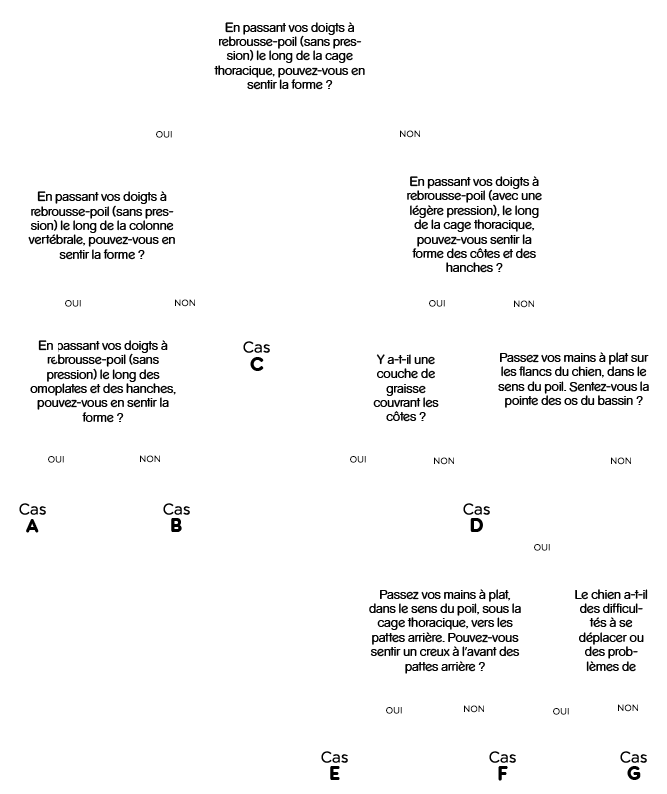 Maintien du poids idéal