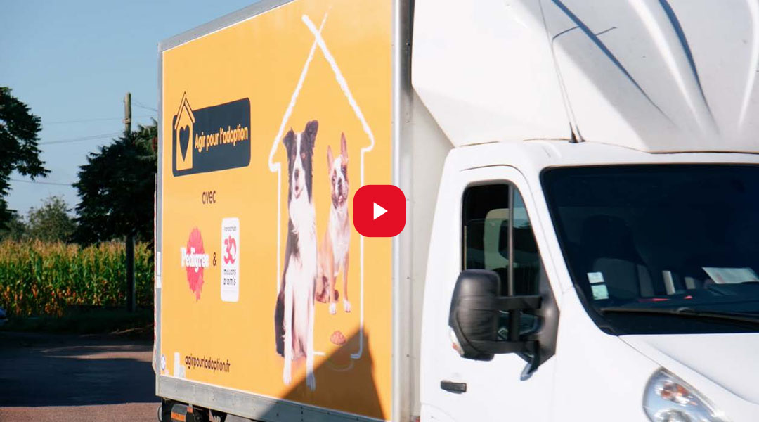 Agir pour l’adoption video